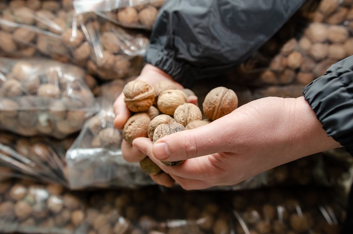 Person with handful of walnuts