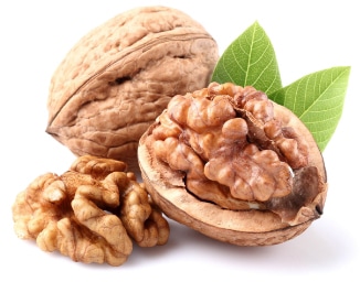 walnut split open