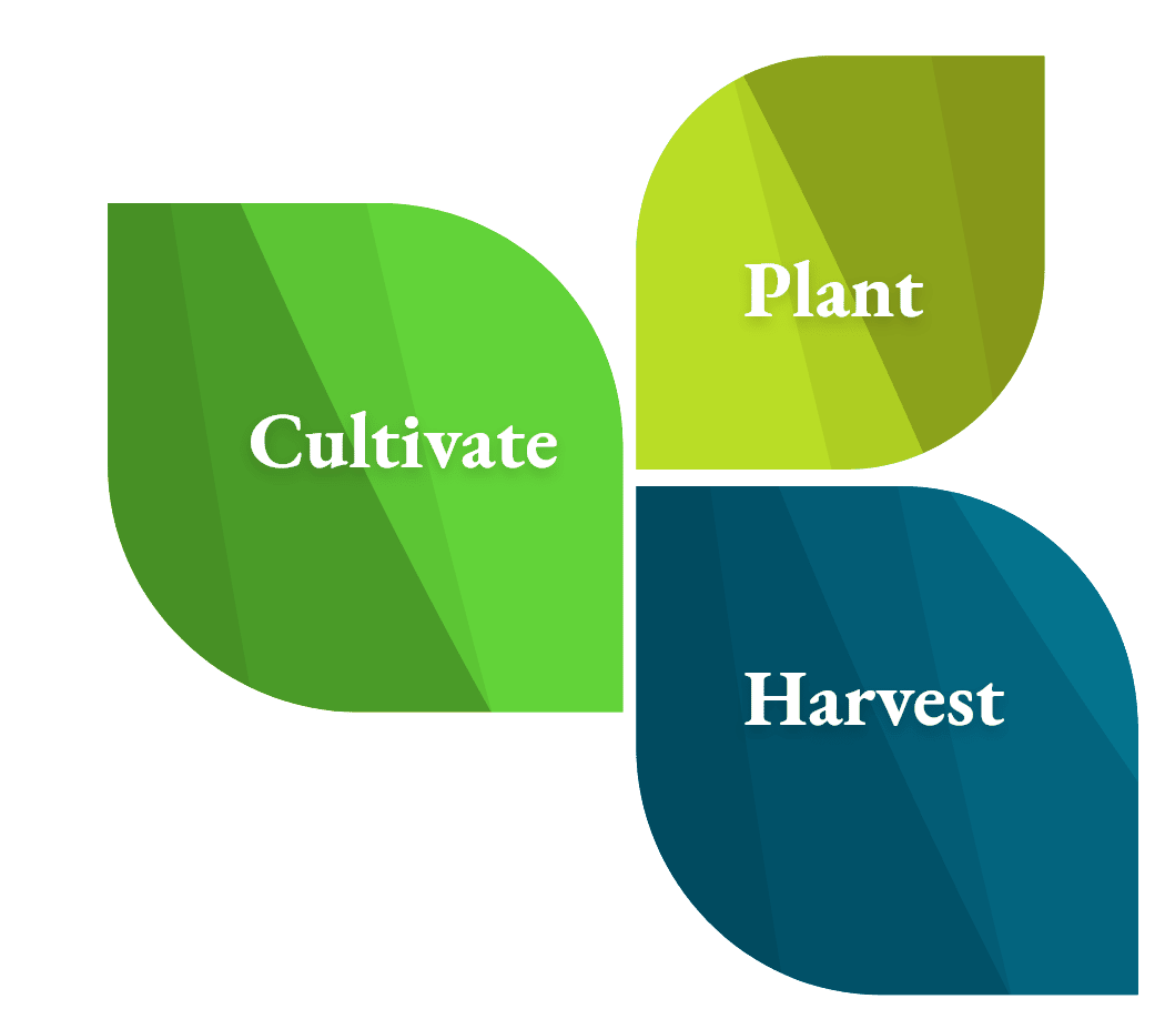 Three leave of Glenda's Farmhouse: Plant, Cultivate and Harvest