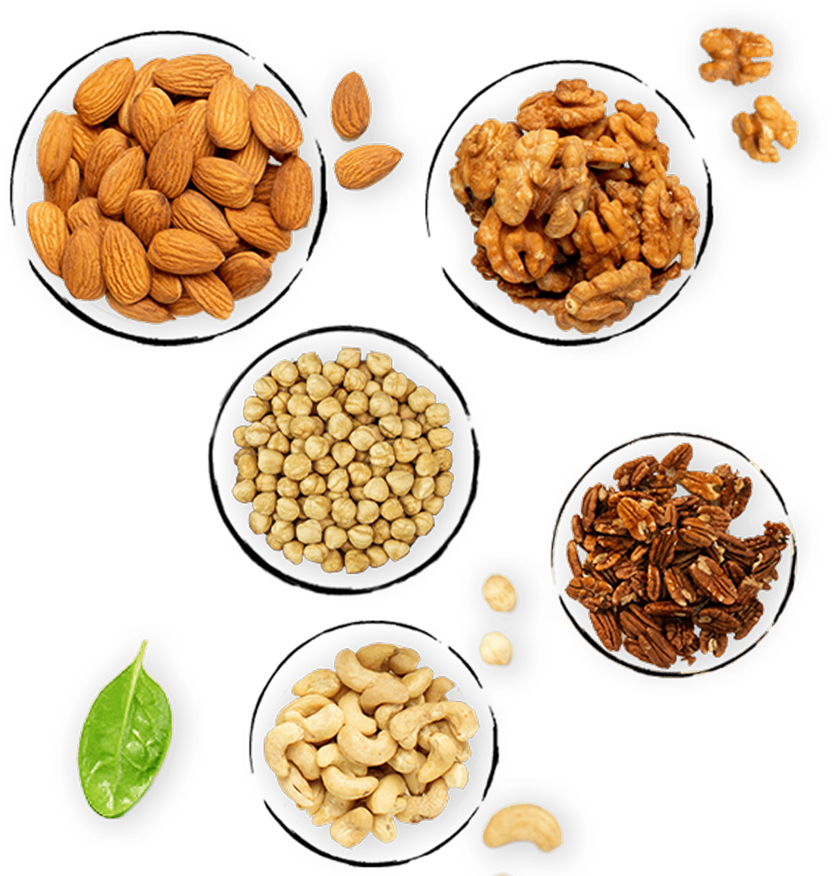 Packed nuts for sale online by Glenda's Farmhouse