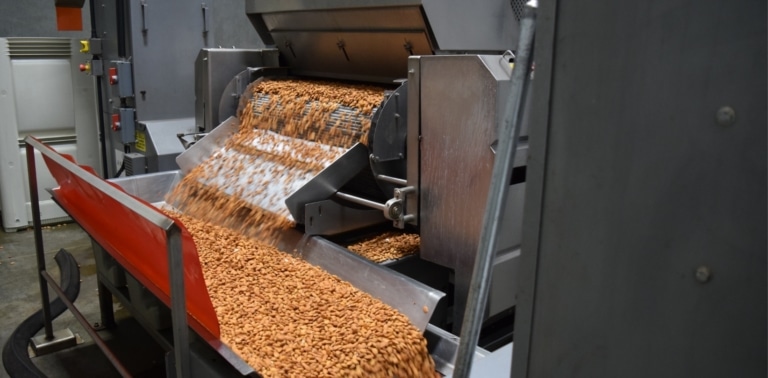 Nuts coming out of going through a machine