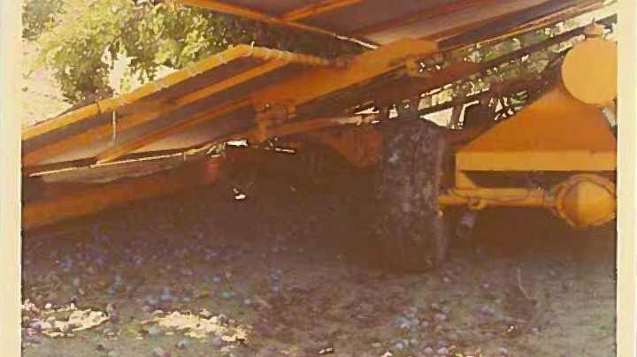 bottom view of a yellow machine for harvesting nuts