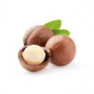 Macadamia nut